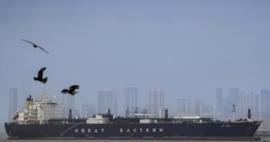 होर्मुज के ‘मौत के रास्ते’ से सुरक्षित निकला भारतीय जहाज ‘ग्रीन आशा’, अब सबकी नजरें ‘जग विक्रम’ पर!